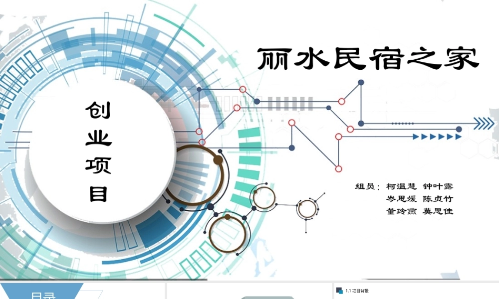 丽水民宿之家创业项目