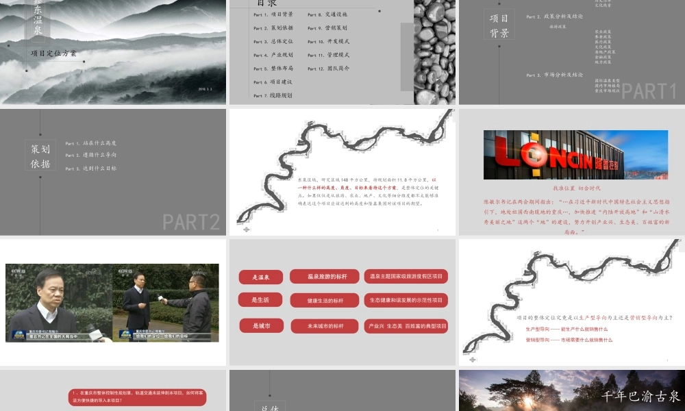 某某温泉项目商业计划书(概念定位)