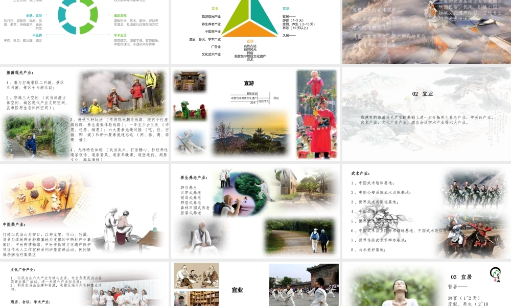 商业策划-——-武当山特色小镇