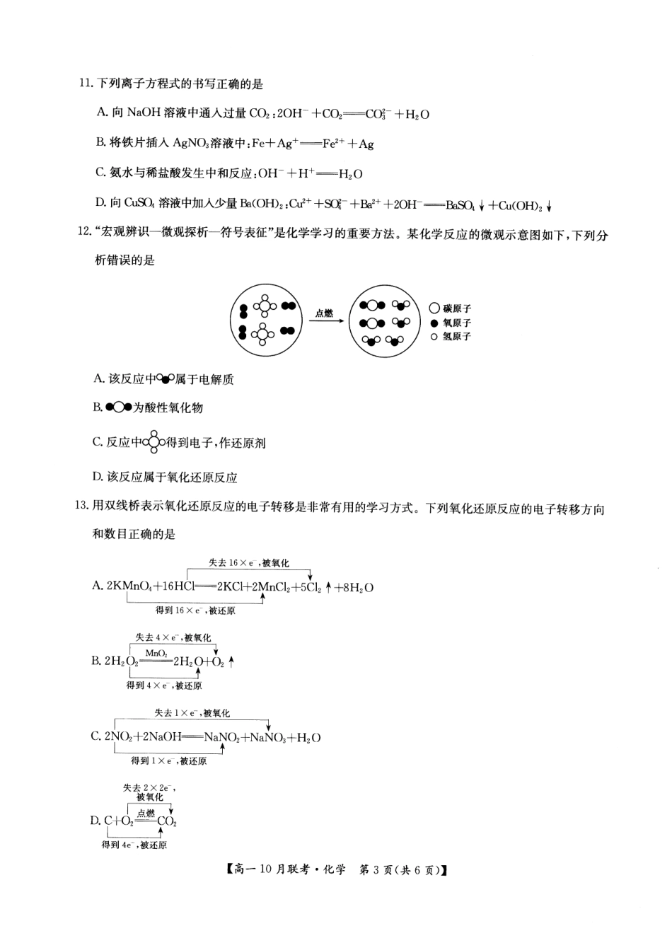 2026年河南省洛阳强基联盟高一10月联考【化学】试题+答案_第3页