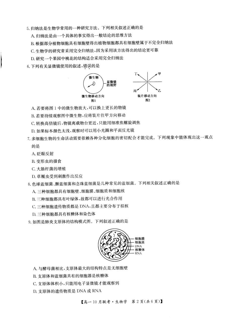2026年河南省洛阳强基联盟高一10月联考【生物】试题+答案_第2页