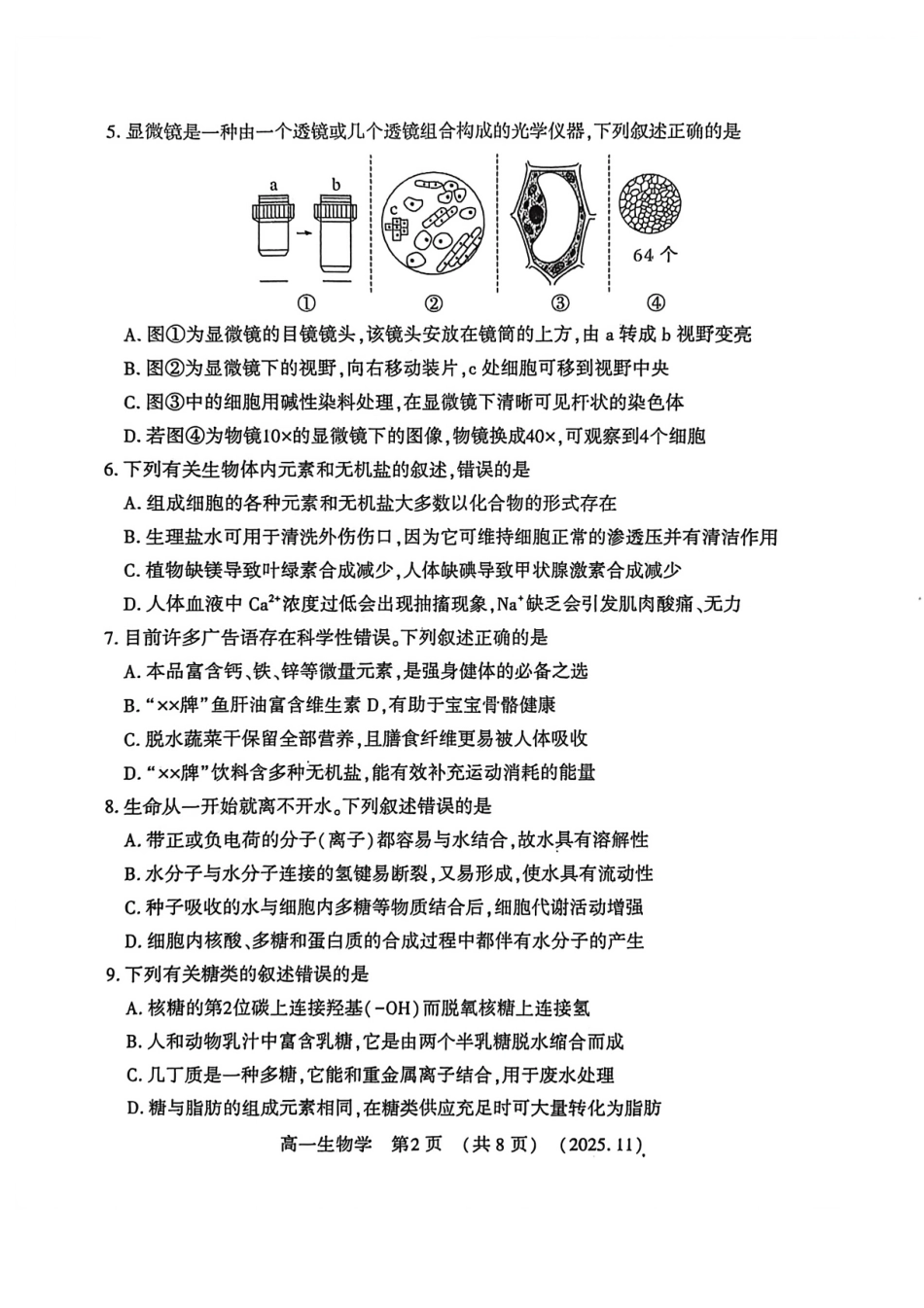 河南省洛阳市2025—2026学年第一学期11月期中考试高一【生物】试卷+答案_第2页