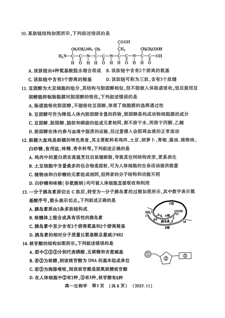 河南省洛阳市2025—2026学年第一学期11月期中考试高一【生物】试卷+答案_第3页