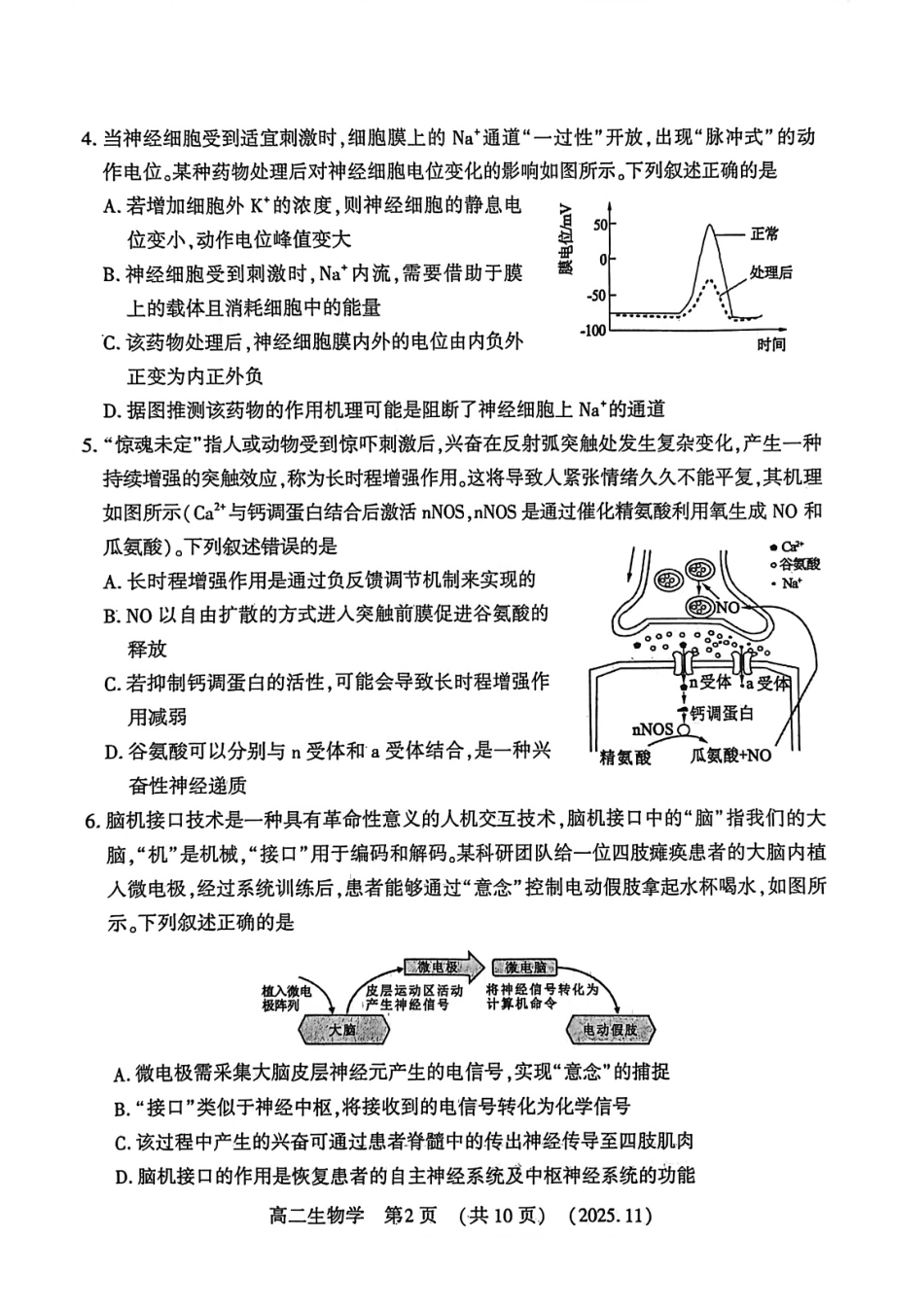 河南省洛阳市2025—2026学年第一学期期中考试高二【生物】试卷+答案_第2页