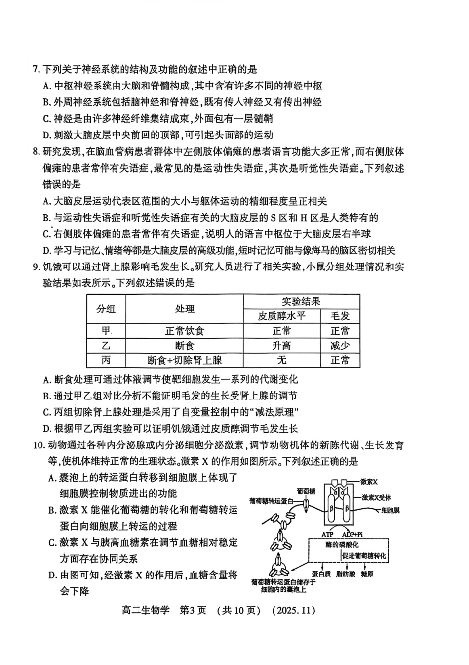 河南省洛阳市2025—2026学年第一学期期中考试高二【生物】试卷+答案_第3页