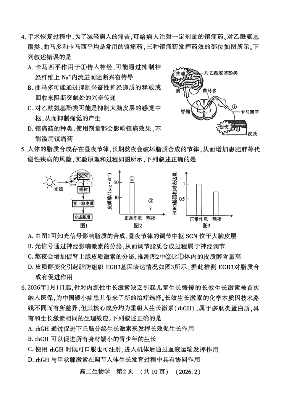 河南省洛阳市2025-2026学年高二上学期2月期末考试【生物】试卷+答案_第2页