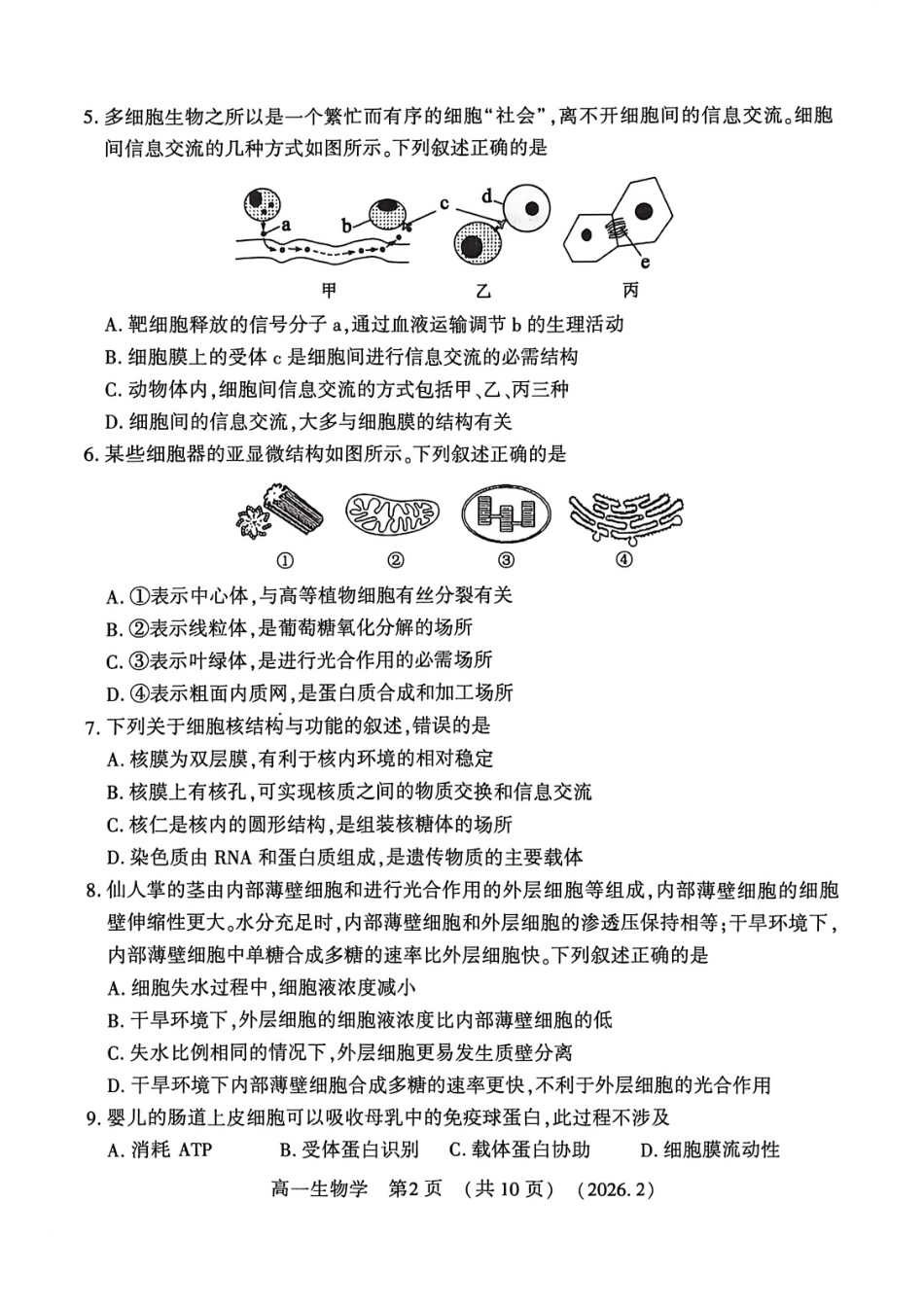 河南省洛阳市2025-2026学年高一上学期2月期末考试【生物】试卷+答案_第2页