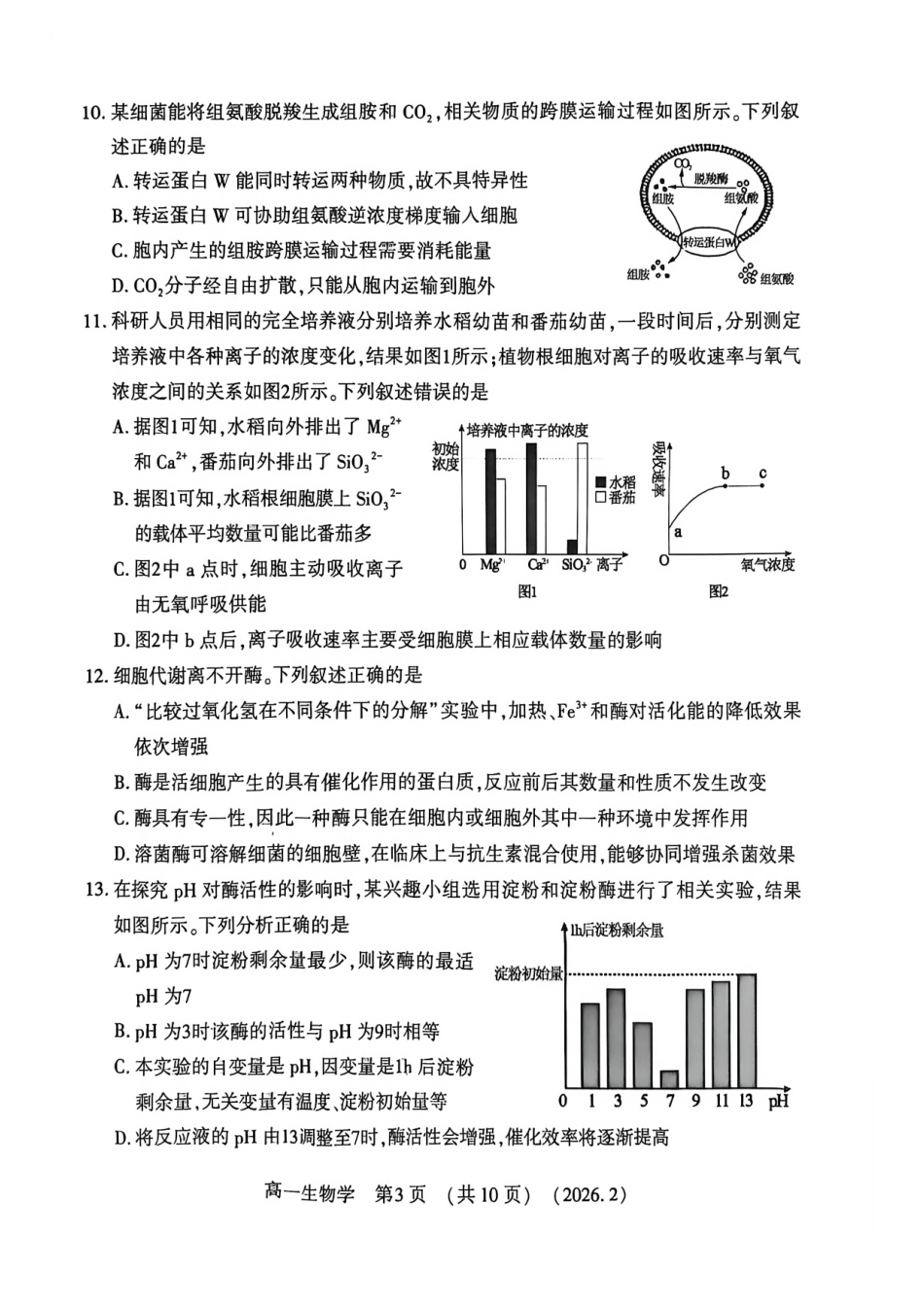 河南省洛阳市2025-2026学年高一上学期2月期末考试【生物】试卷+答案_第3页