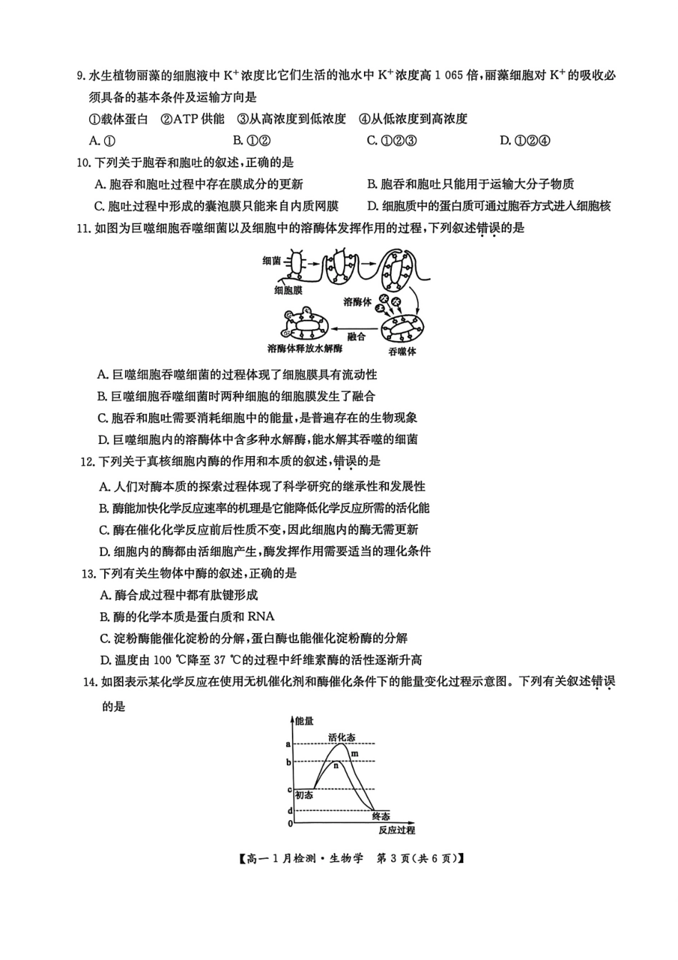 河南省洛阳市洛阳强基联盟2026-2027学年高一上学期1月月考【生物】试卷+答案_第3页