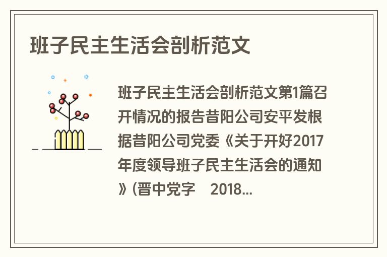 班子民主生活会剖析范文