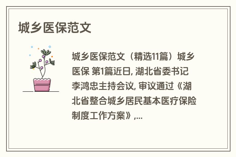 城乡医保范文