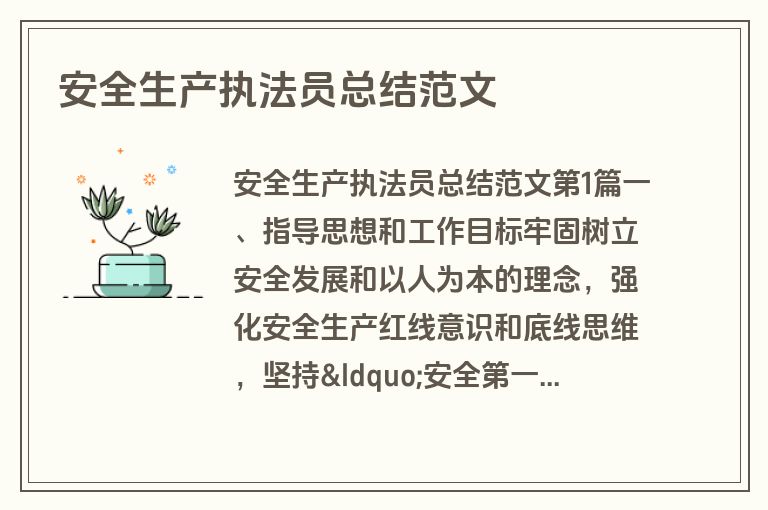 安全生产执法员总结范文