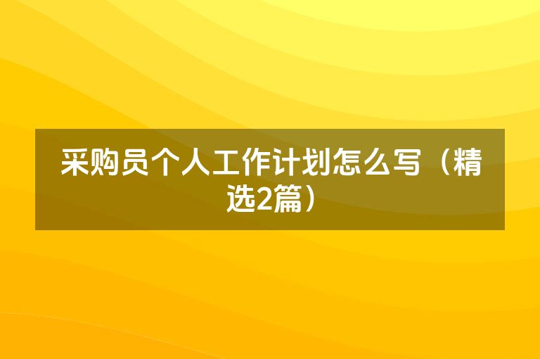 采购员个人工作计划怎么写（精选2篇）