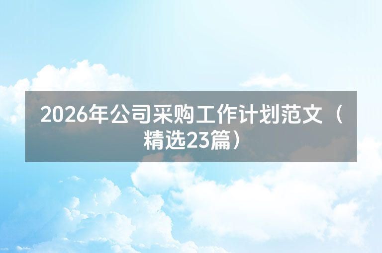 2026年公司采购工作计划范文（精选23篇）