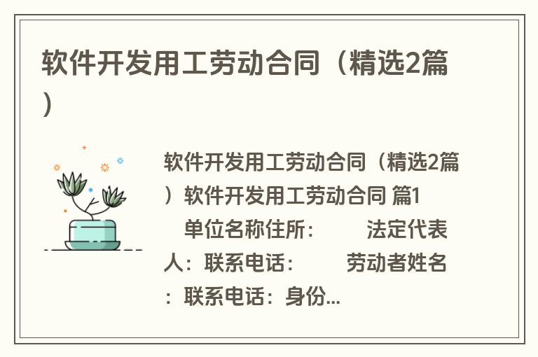 软件开发用工劳动合同（精选2篇）