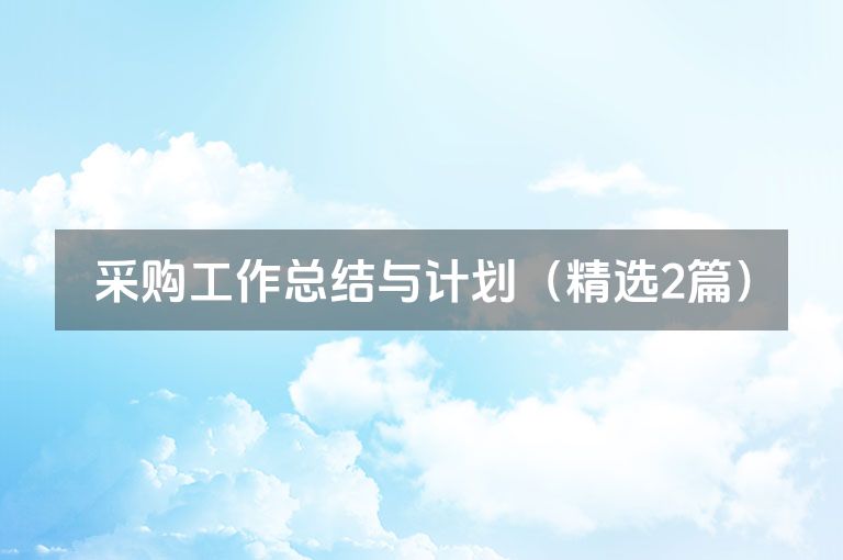采购工作总结与计划（精选2篇）